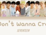 Seventeen-Jadi-Trending-Topic-Situs-Musik-Korea-Sebelum-Resmi-Comeback