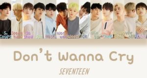 Seventeen-Jadi-Trending-Topic-Situs-Musik-Korea-Sebelum-Resmi-Comeback
