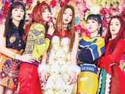 Daftar-Member-Red-Velvet-Tercantik-2017