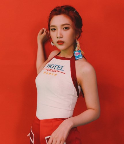 Daftar-Member-Red-Velvet-Tercantik-2017-Joy