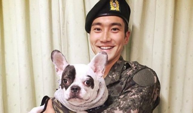 Keluarga-Korban-Putuskan-Tak-Tuntut-Keluarga-Siwon-Super-Junior-Atas-Kasus-Gigitan-Anjing Keluarga-Korban-Putuskan-Tak-Tuntut-Keluarga-Siwon-Super-Junior-Atas-Kasus-Gigitan-Anjing