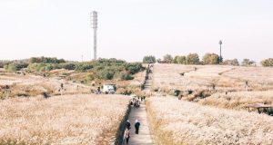 Tempat-Wisata-Di-Korea-Selatan-Saat-Musim-GugurHaneoul-(Sky)-Park