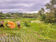 Wisatawan asing berfoto di Desa Wisata Tete Batu.