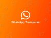 Aplikasi WhatsApp Transparan 2021