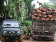 Mau Dengar Kabar Gembira? Harga CPO Bisa Tembus MYR 5.000/Ton
