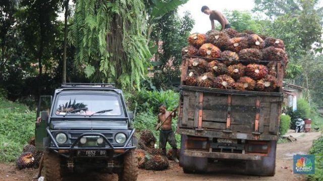 Mau Dengar Kabar Gembira? Harga CPO Bisa Tembus MYR 5.000/Ton Mau Dengar Kabar Gembira? Harga CPO Bisa Tembus MYR 5.000/Ton