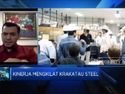 Jurus Silmy Karim Dorong Transformasi Bisnis Krakatau Steet