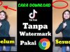 Cara Download Video Tiktok Tanpa Watermark iencsea.id