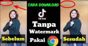 Cara Download Video Tiktok Tanpa Watermark iencsea.id