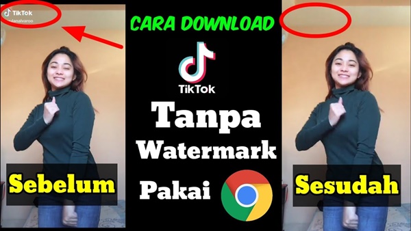 Cara Download Video Tiktok Tanpa Watermark iencsea.id