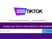 Download - SSSTikTok