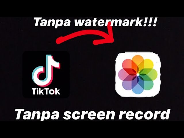 Link download video tiktok tanpa watermark 2021