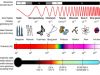 Gelombang Elektromagnetik dan Contohnya
