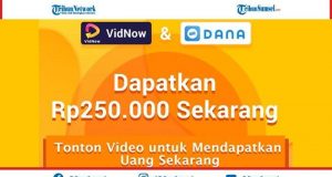 Vidnow Apk