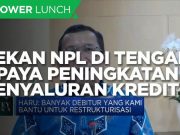 Cara BTN Tekan NPL Di Tengah Upaya Genjot Penyaluran Kredit