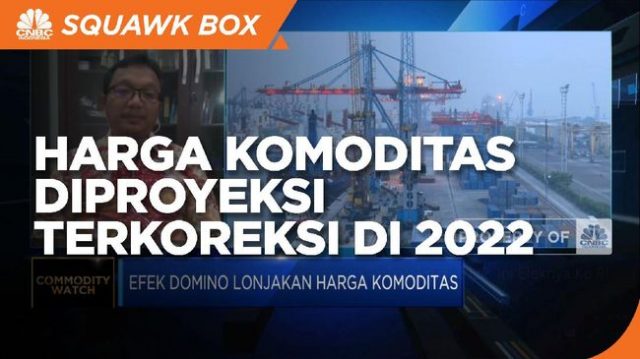 2022 Harga Komoditas Diprediksi Terkoreksi, Ini Efeknya ke RI