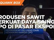 Jurus Produsen Sawit Perkuat Daya Saing CPO di Pasar Ekspor