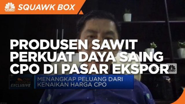 Jurus Produsen Sawit Perkuat Daya Saing CPO di Pasar Ekspor Jurus Produsen Sawit Perkuat Daya Saing CPO di Pasar Ekspor