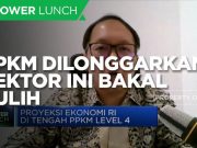 Saat PPKM Dilonggarkan,Ini Sektor Yang Berpeluang Cepat Pulih