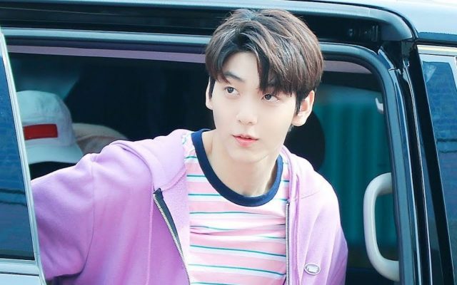 Alasan Pengawal Jarang Bantu Buka Pintu Mobil untuk Idola K-Pop