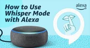 Amazon rilis fitur "volume adaptif" speaker pintar Alexa