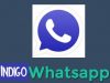 Download - WhatsApp Indigo Mod Apk 2021