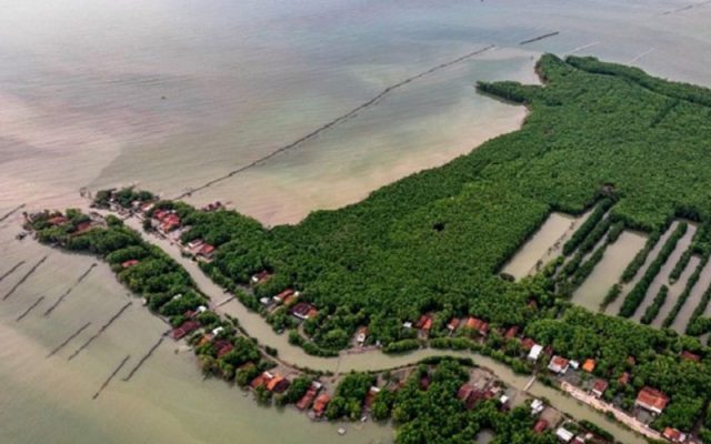 Foto udara permukiman warga yang dikelilingi hutan mangrove (bakau) di Desa Bedono, Sayung, Demak, Jawa Tengah, Rabu (24/4/2019)./Antara - Aji Styawan