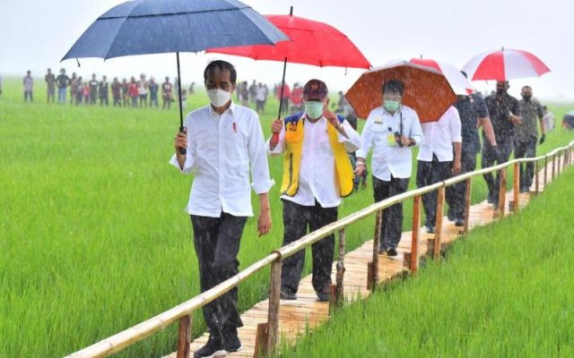 Presiden Joko Widodo didampingi Menteri PUPR Basuki Hadimuljono dan Menteri Pertanian Syahrul Yasin Limpo meninjau lokasi lumbung pangan di Kabupaten Sumba Tengah, Nusa Tenggara Timur, Selasa 23 Februari 2021 / Twitter jokowi