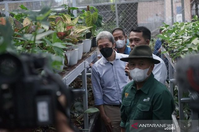 Menkop: Tanaman hias jadi opsi pemulihan ekonomi