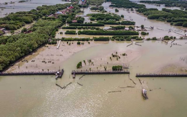 Foto udara pasak konstruksi Hybrid Engineering (struktur perangkap sedimen ramah lingkungan) yang berfungsi untuk meningkatkan ketahanan lingkungan pesisir dari abrasi membentang di Desa Timbulsloko, Kecamatan Sayung, Demak, Jawa Tengah, Senin (27/1/2020). ANTARA FOTO - Aji Styawan