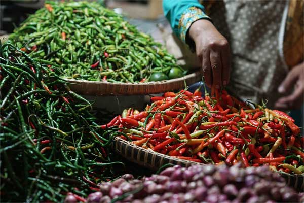 Pedagang cabai di sebuah pasar tradisional Wonosari, Yogyakarta. - Bloomberg/Dimas Ardian