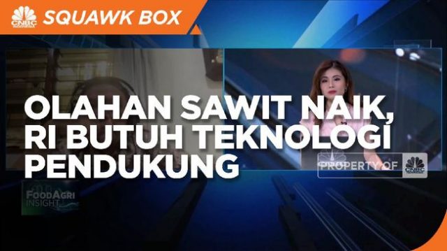 Kebutuhan Olahan Sawit Naik, RI Butuh Teknologi Pendukung