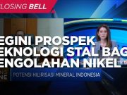 Karya Anak Bangsa, Ini Prospek STAL di Pengolahan Nikel RI