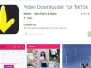 Download - TikTok Downloader Terbaru