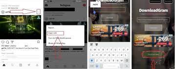 Download - Video Instagram di DownloadGram dengan Mudah