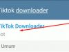 Download - Video Tiktok Tanpa Watermark di Telegram (via Bot)