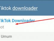 Download - Video Tiktok Tanpa Watermark di Telegram (via Bot)