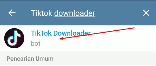 Download - Video Tiktok Tanpa Watermark di Telegram (via Bot)