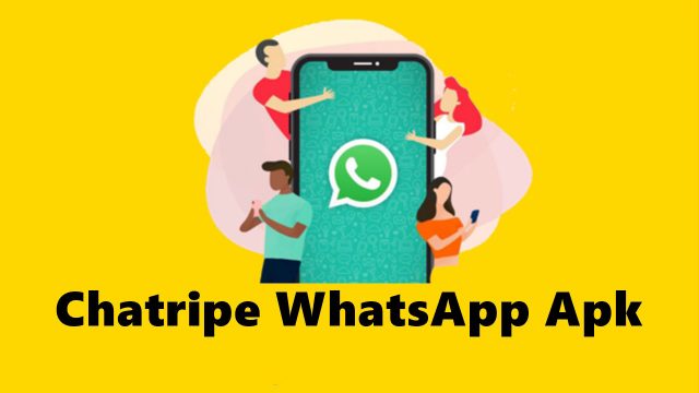 Rekomendasi - Chatripe WhatsApp APK Terbaru 2021