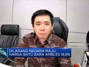 Daya Tarik Saham Batu Bara Saat Harga Komoditas Ambles