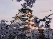 Panduan Liburan ke Jepang Buat Pemula. Persiapkan 10 Hal Ini Sebelum Berangkat ke Negeri Sakura!