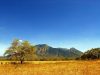 Menikmati Pesona Api Biru dan Afrika Ala Jawa Timur