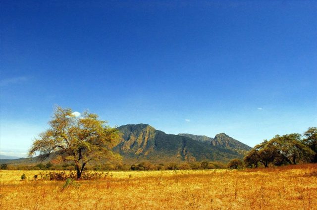 Menikmati Pesona Api Biru dan Afrika Ala Jawa Timur