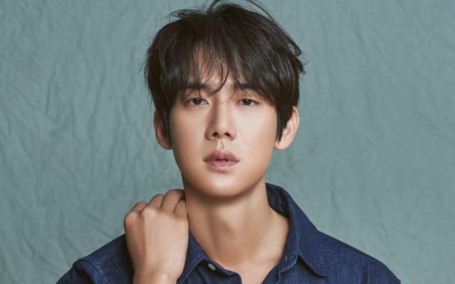 Yoo Yeon Seok Kritik 'The King of Tears, Lee Bang