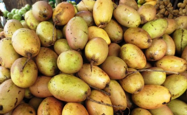 Khasiat-Dan-Manfaat-Buah-Kemang.jpg