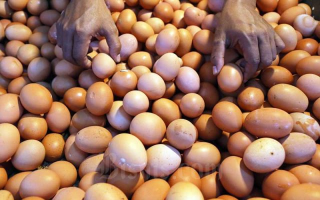 Awal 2022 Harga Minyak Goreng hingga Gula Naik, Ini Penyebabnya Pedagang menata telur di Pasar Benhil, Jakarta, Senin (13/4/2020). - Bisnis/Eusebio Chrysnamurti