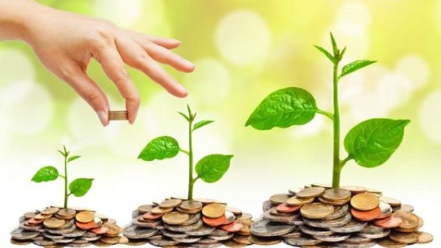 investasi-3.jpg